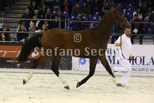 NADA BRAUN_MILANO_2010_SS3_4005.jpg